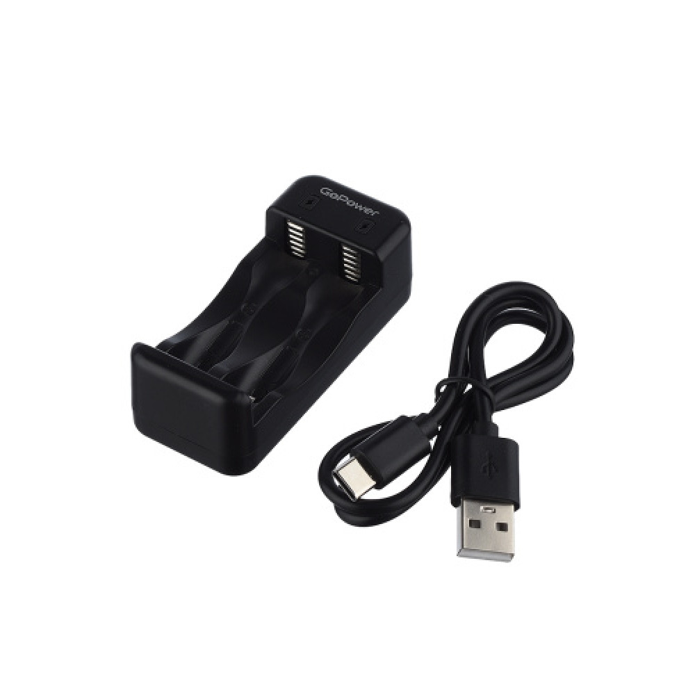 00-00031386 Basic 150 Зарядное устройство для аккумуляторов Ni-MH/Ni-Cd 2 слота, GoPower