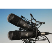 Микрофон универсальный конденсаторный Октава 3192112 МК-319-Ч-С, стереопара, черный,в карт. коробке