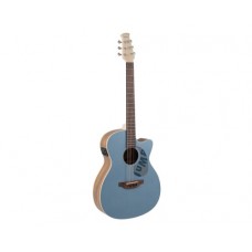 Applause AEO-69-B Jump E-Acoustic Lagoon