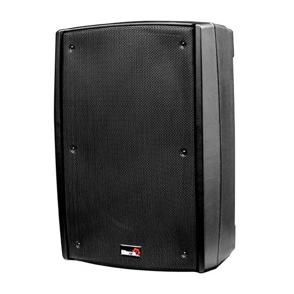 Пассивная акустическая система Biema B2-112, 400Вт