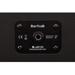 Гитарный кабинет Joyo BANTCAB