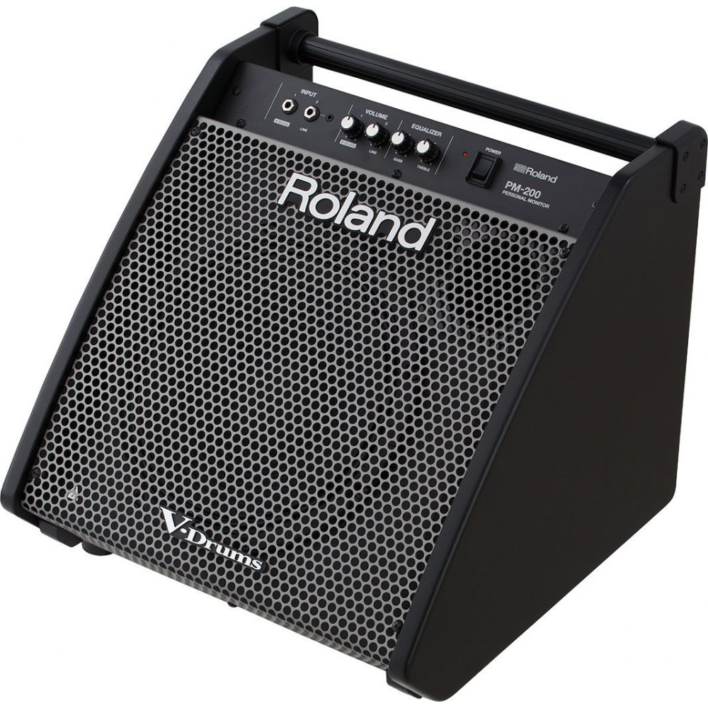 Roland PM-200  монитор