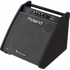 Roland PM-200  монитор
