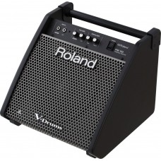 Roland PM-100  монитор