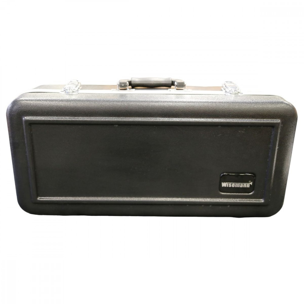 Wisemann ABS Alto Sax CaseWABSASC-1  кейс-кофр для альт-саксофона, ABS пластик