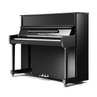 Акустическое пианино RITMULLER RS120 (A111), высота 120 см, цвет чёрный полированный
