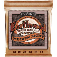 Струны для акустической гитары ERNIE BALL 2146 Earthwood Phosphor Bronze Medium Light 12-54