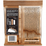 Струны для акустической гитары ERNIE BALL 2548 Everlast Coated Phosphor Bronze Light 11-52