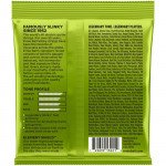 Струны для электрогитары ERNIE BALL 3221 Nickel Wound Slinky Regular 3 Pack 10-46