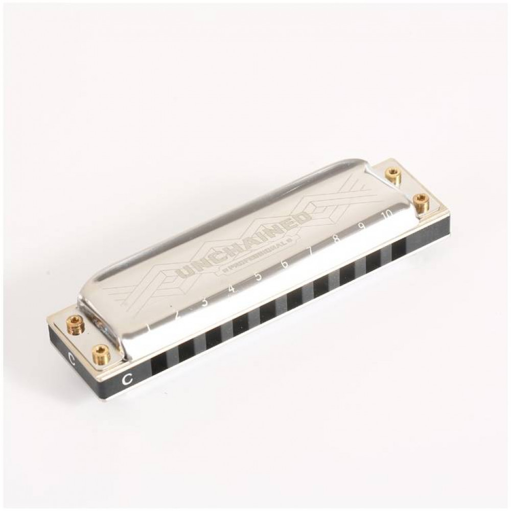 EASTTOP PRO60 G - Губная гармоника диатоническая
