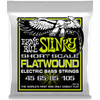 Струны для бас-гитары ERNIE BALL 2818 Flatwound Slinky Regular Short Scale 45-105