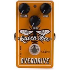 CALINE CP-503 - Педаль эффектов Overdrive