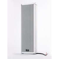 Акустическая система TADS DS-40E, 40Вт