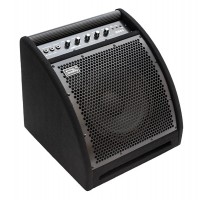 DS50 Монитор для электронной ударной установки, 50Вт, Soundking