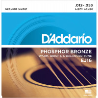 Струны для акустической гитары фосфорная бронза D'Addario EJ16 PHOSPHOR BRONZE, Light 12-53