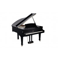 Цифровой рояль Medeli GP805