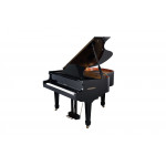 Цифровой рояль Medeli GP805