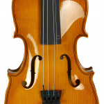 Скрипка Tomas Vagner V-20 1/2, 1/2