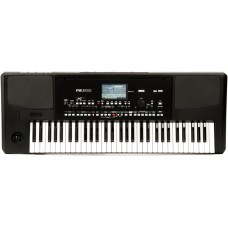 KORG Pa300