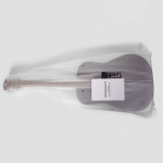 Акустическая гитара ROCKDALE Aurora D1 BK