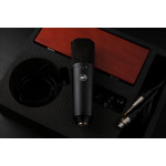 Конденсаторный микрофон WARM AUDIO WA-87 R2B