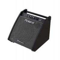 ROLAND PM-200
