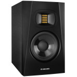 Гитарный комбоусилитель ADAM Audio T5V