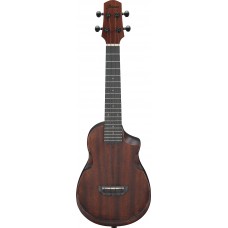 IBANEZ AUC14-OVL