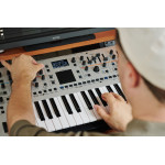 MIDI-контроллер ROLAND GAIA-2