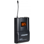Радиосистема Pasgao PAW-920/2x PBT-801