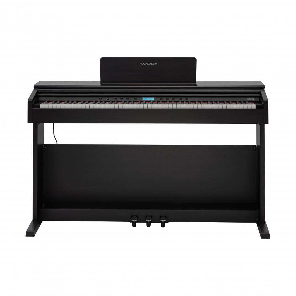 ROCKDALE ETUDE 256 BR