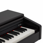 Цифровое пианино ROCKDALE ETUDE 256 BR