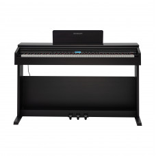 ROCKDALE ETUDE 256 BR