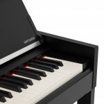 Цифровое пианино ROCKDALE VIRTUOSO 256 BK