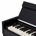 Цифровое пианино ROCKDALE VIRTUOSO 256 BK