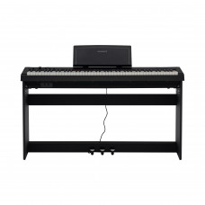 ROCKDALE NOCTURNE S 256 BK