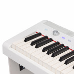 Цифровое пианино ROCKDALE NOCTURNE S 256 W