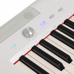 Цифровое пианино ROCKDALE NOCTURNE S 256 W