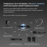 OWS-U2200D01-B Двухканальная радиосистема, 2 головных микрофона, Октава