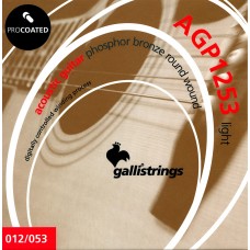 Струны GALLI STRINGS AGP1253
