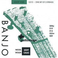 Струны для банджо GALLI STRINGS G210