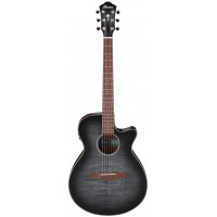 Электроакустика IBANEZ AEG70-TCH