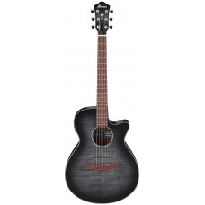 Электроакустика IBANEZ AEG70-TCH