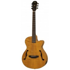 Электроакустика ARIA FET-F2 STBR