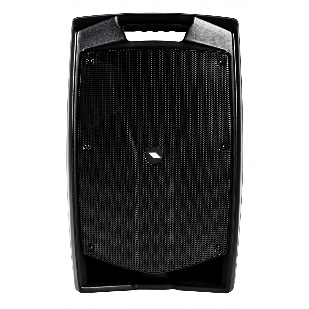 Акустическая система PROEL V12WAVE