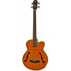 Электроакустический бас ARIA FEB-F2M STBR