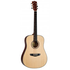 Акустическая гитара Omni D-120 NT