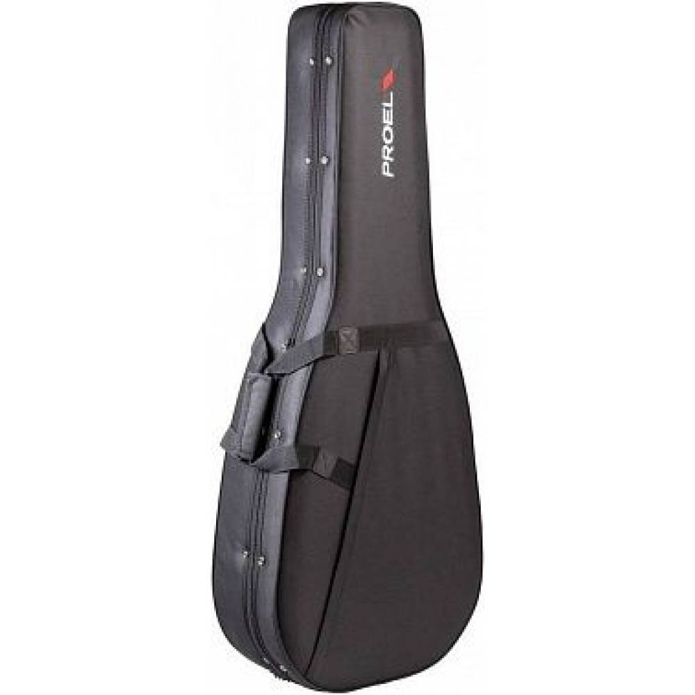 Нейлоновый кейс PROEL PFOAM10