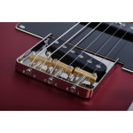 Электрогитара SCHECTER PT SPECIAL SCAR