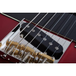 Электрогитара SCHECTER PT SPECIAL SCAR